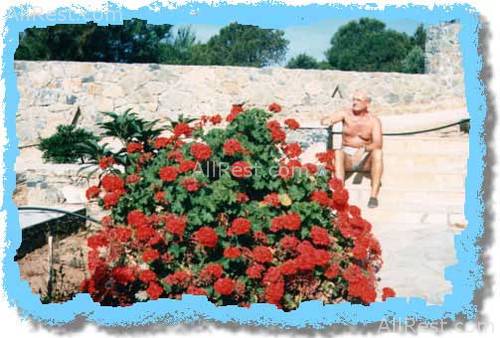 Kakkos Bay Hotel 20